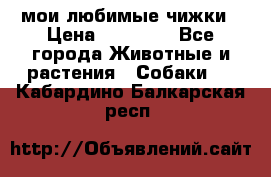 мои любимые чижки › Цена ­ 15 000 - Все города Животные и растения » Собаки   . Кабардино-Балкарская респ.